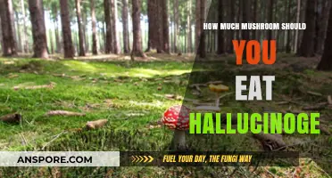 Safe Dosage Guide: How Much Hallucinogenic Mushroom Should You Eat?