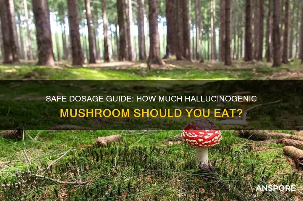 how much mushroom should you eat hallucinogenic