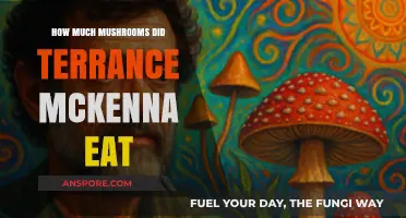 Terrance McKenna's Mushroom Dosage: Unraveling His Psychedelic Consumption