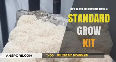Maximizing Mushroom Yield: What to Expect from Standard Grow Kits