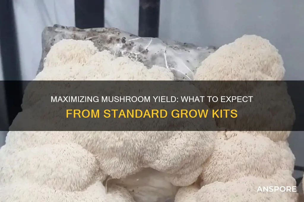 how much mushrooms from a standard grow kit