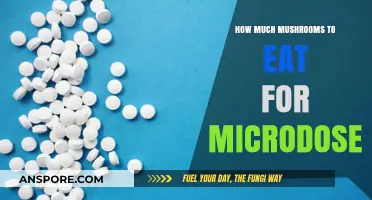 Microdosing Mushrooms: Optimal Amounts for Safe and Effective Results