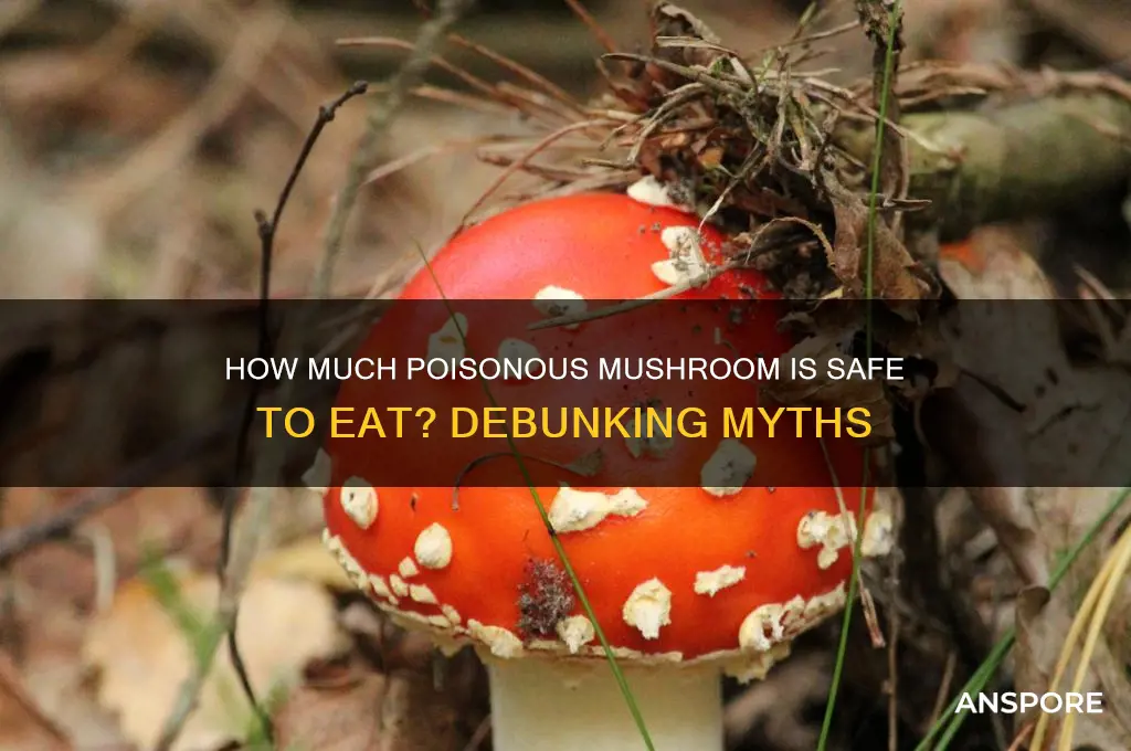 how much of a poisonous mushroom can you eat