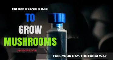 Optimal Spore Syringe Dosage for Successful Mushroom Cultivation at Home