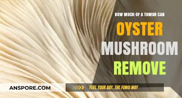 Oyster Mushrooms' Surprising Ability to Remove Tumors: A Natural Approach