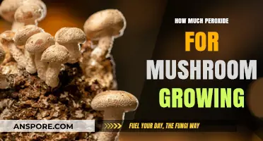 Peroxide Use in Mushroom Cultivation: Optimal Amounts for Healthy Growth