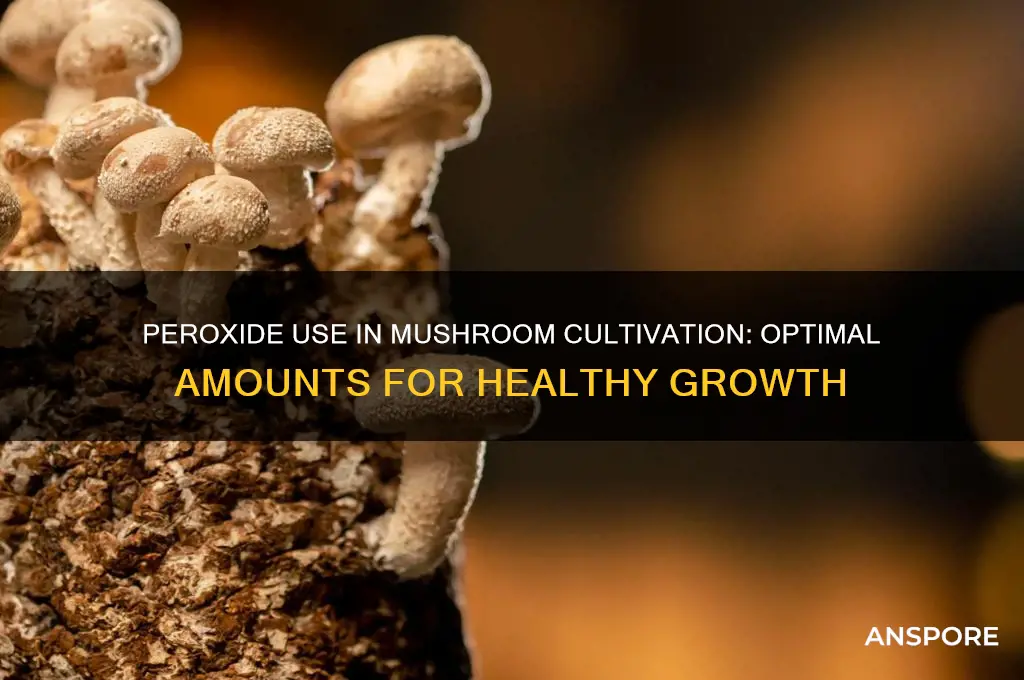 how much peroxide for mushroom growing