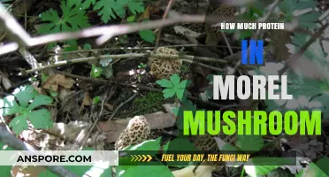 Morel Mushrooms' Protein Power: Unveiling Their Nutritional Secrets