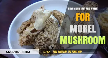 Perfect Morel Mushroom Brine: Salt and Water Ratio Guide