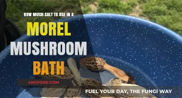 Perfect Morel Mushroom Bath: Salt Quantity Guide for Optimal Results