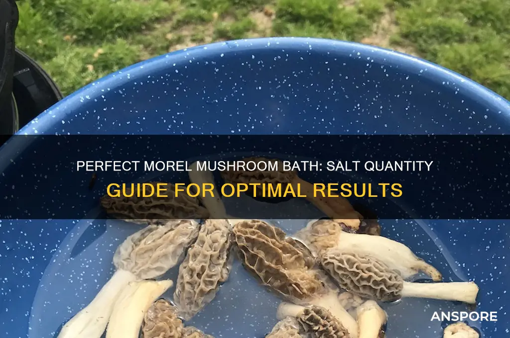 how much salt to use in a morel mushroom bath