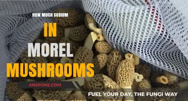 Sodium Content in Morel Mushrooms: A Nutritional Breakdown