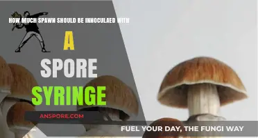 Optimal Spawn Inoculation: Spore Syringe Dosage Guide for Mushroom Cultivation