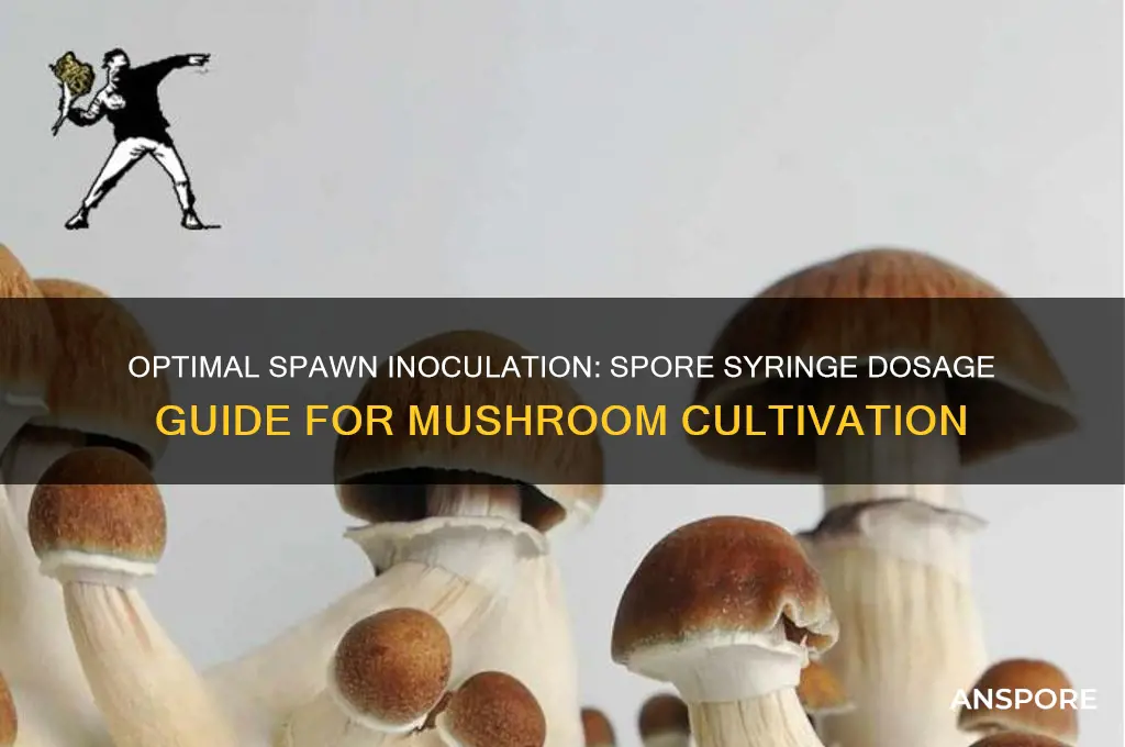 how much spawn should be innoculaed with a spore syringe