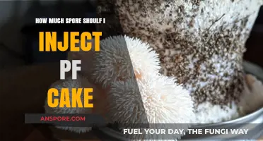 Optimal Spore Syringe Dosage for PF Tek Cake Colonization Success