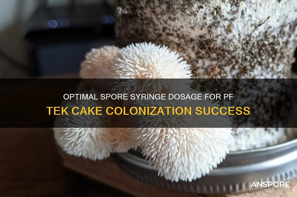 how much spore shoulf i inject pf cake