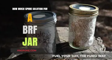 Optimal Spore Solution Dosage for BRF Jars: A Comprehensive Guide