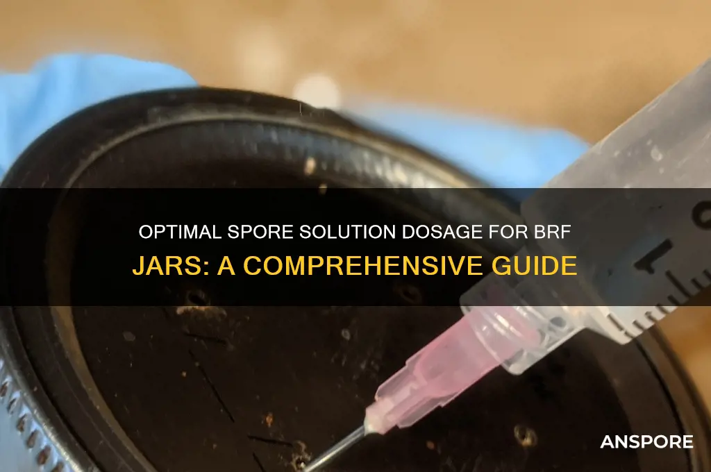 how much spore solution for a brf jar