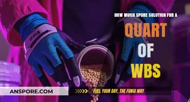 Optimal Spore Solution Amount for a Quart of WBS: A Guide