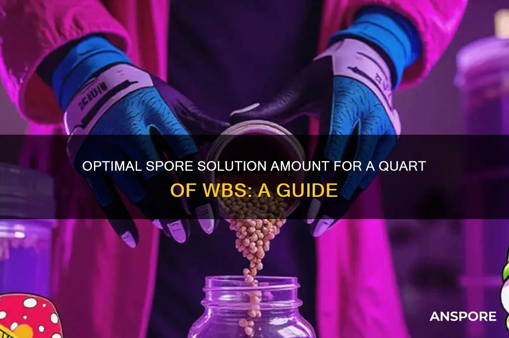 how much spore solution for a quart of wbs