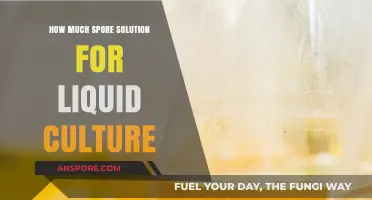 Optimal Spore Solution Volume for Successful Liquid Culture Techniques