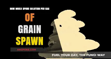 Optimal Spore Solution Dosage for Grain Spawn Bags: A Guide