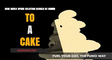 Perfect Spore Solution Dosage for Optimal Cake Colonization Results
