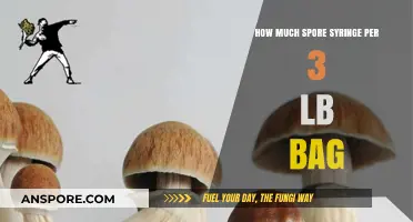 Optimal Spore Syringe Dosage for 3-Pound Substrate Bags: A Guide