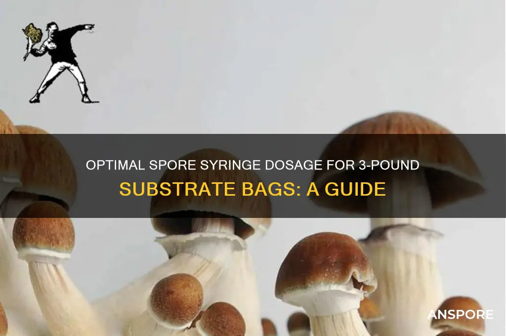 how much spore syringe per 3 lb bag