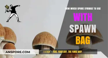 Optimal Spore Syringe Dosage for Spawn Bags: A Comprehensive Guide