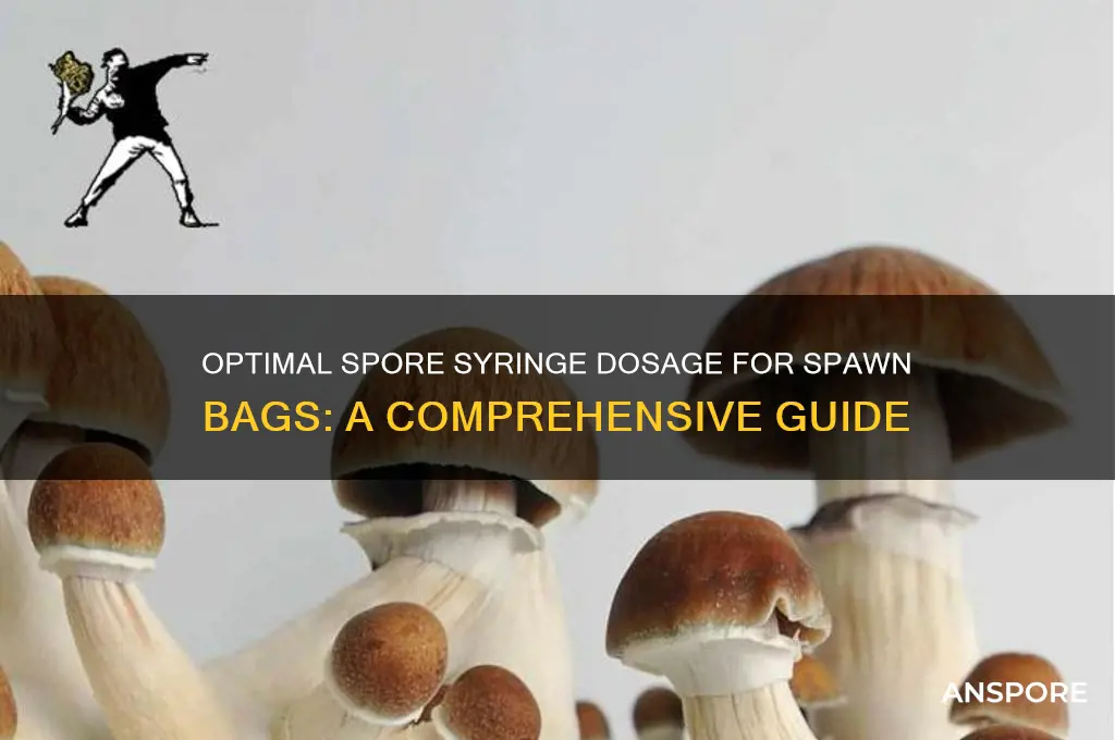 how much spore syringe to use with spawn bag