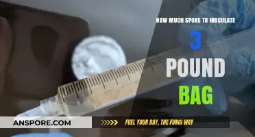 Perfect Spore Inoculation: How Much for a 3-Pound Substrate Bag?