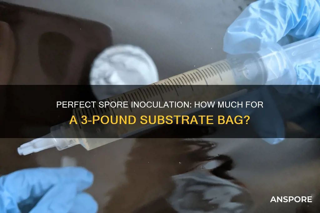 how much spore to inoculate 3 pound bag