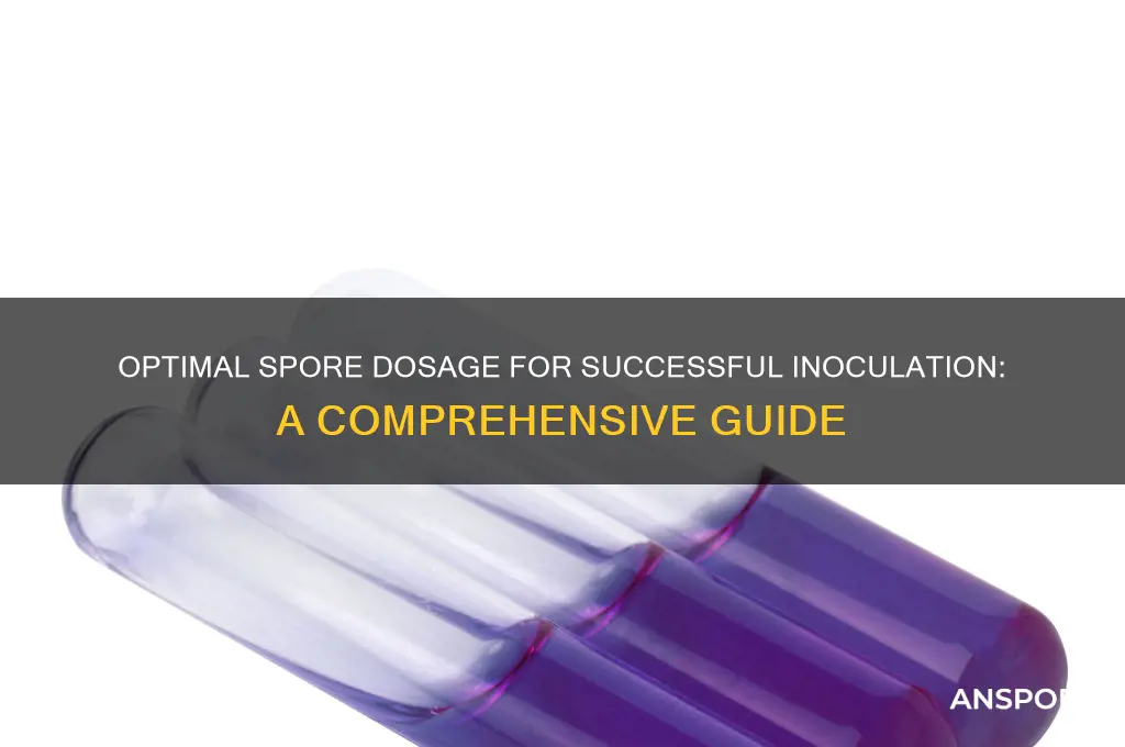 how much spore to use for innoculation