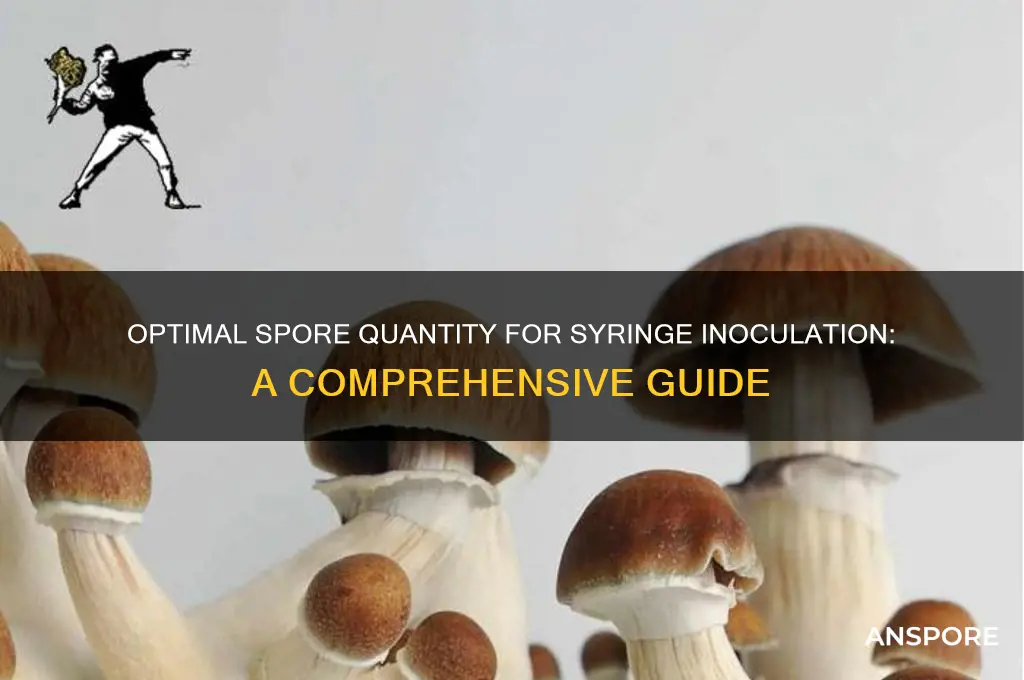 how much spores should i use for syringe