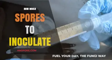 Optimal Spore Inoculation: Mastering the Right Amount for Successful Cultivation