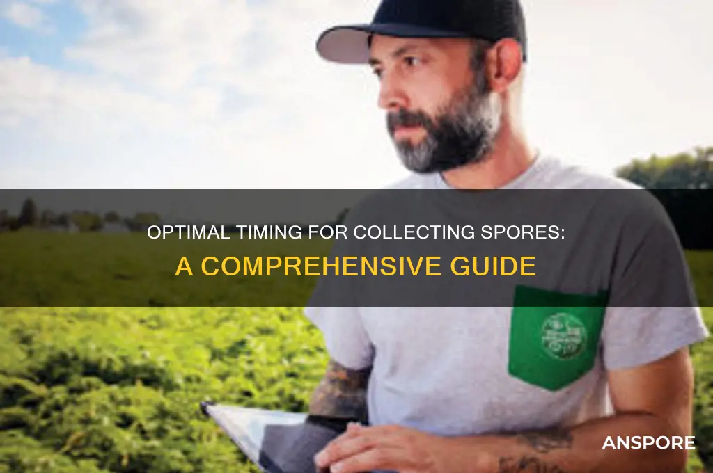 how much time do you have to collect spores