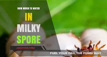 Milky Spore Watering Guide: Optimal Moisture for Effective Grub Control