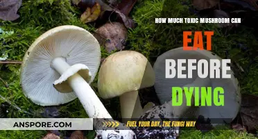 Deadly Dose: How Much Toxic Mushroom Consumption Is Fatal?