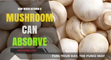 Maximizing Vitamin D Absorption: The Surprising Power of Mushrooms