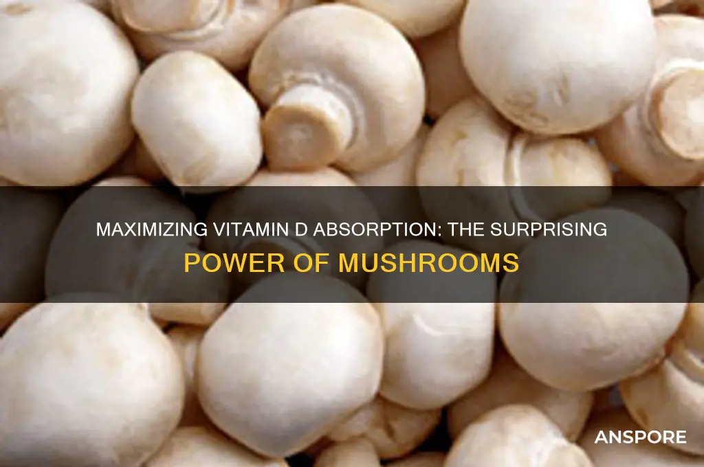 how much vitamin d mushroom can absorve