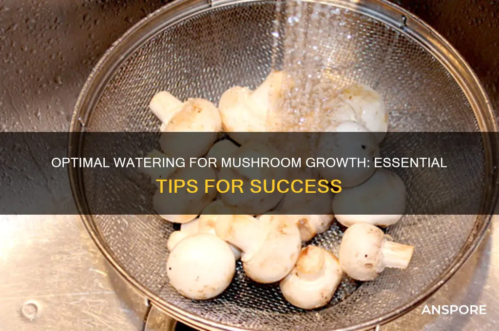 how much water do mushrooms need to grow