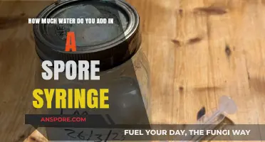 Perfect Spore Syringe Preparation: Optimal Water Quantity Guide