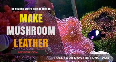 Sustainable Fashion: Water Usage in Mushroom Leather Production Explained
