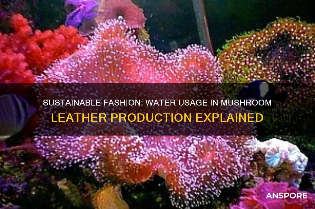 how much water does it take to make mushroom leather