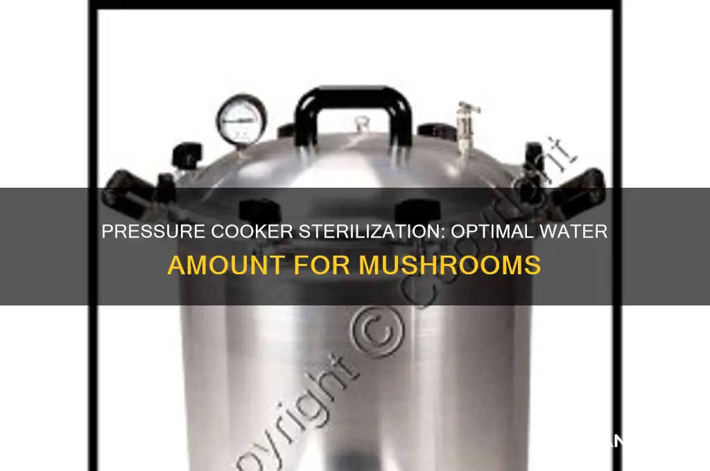 how much water in a pressure cooker sterilization mushrooms