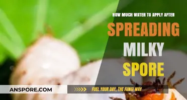 Milky Spore Application: Optimal Watering Tips for Effective Lawn Treatment