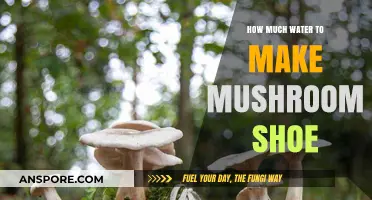 Crafting Mushroom Shoes: Essential Water Quantity Guide for Perfect Results