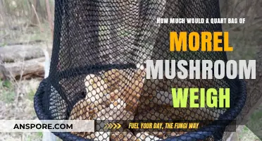 Morel Mushroom Weight: Quart Bag Measurement Guide