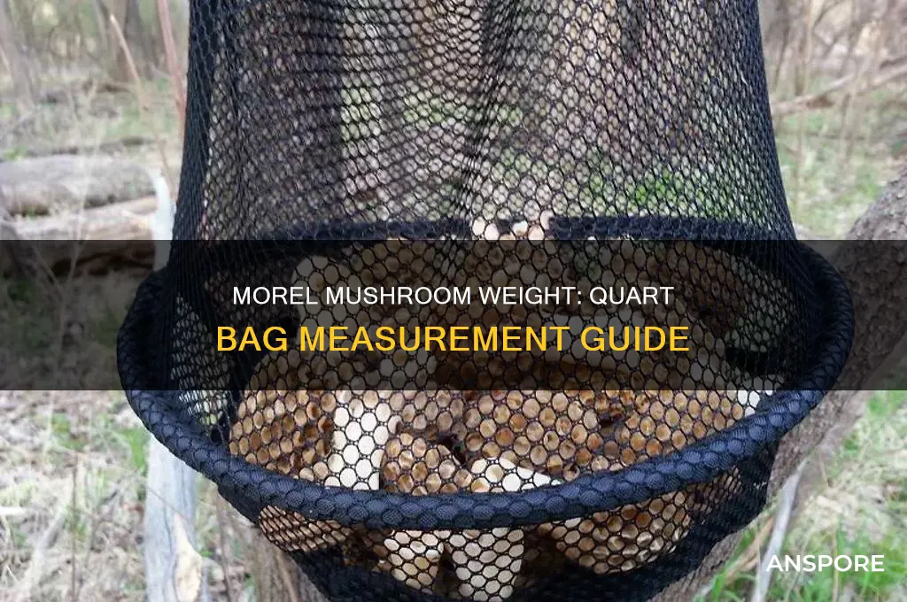 how much would a quart bag of morel mushrooms weigh